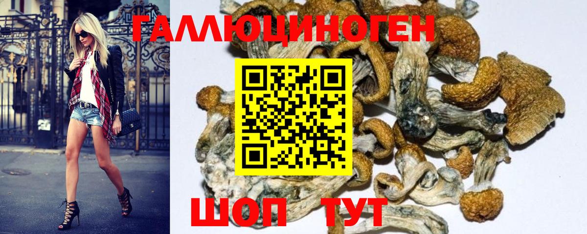 Галлюциногенные грибы Cubensis  цена   Зеленодольск 