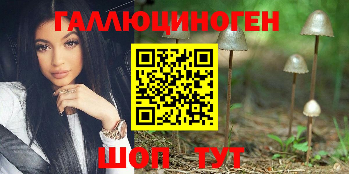Галлюциногенные грибы мухоморы  купить  цена  Зеленодольск  Вход с VPN 